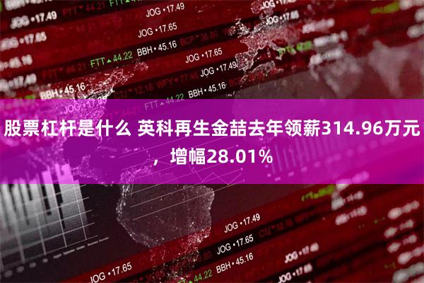 股票杠杆是什么 英科再生金喆去年领薪314.96万元，增幅28.01%