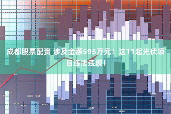 成都股票配资 涉及金额595万元！这11起光伏项目违法违规！