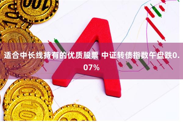 适合中长线持有的优质股票 中证转债指数午盘跌0.07%